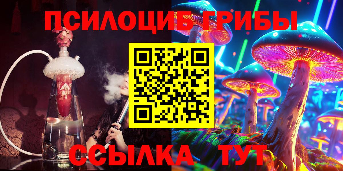 Галлюциногенные грибы Psilocybe Красногорск