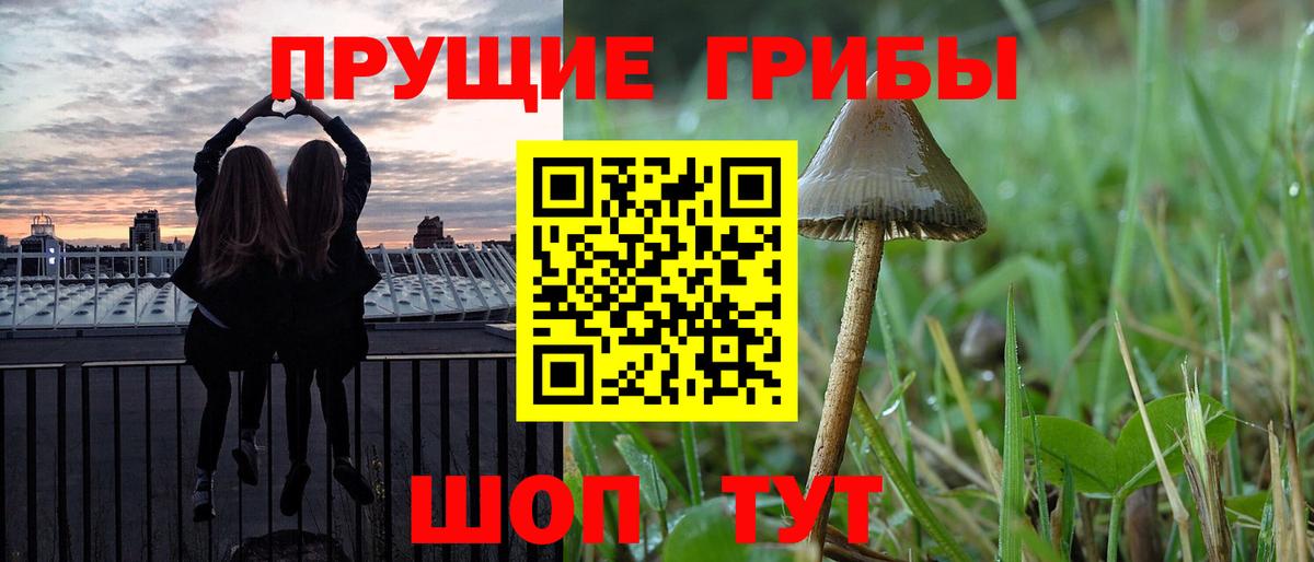 Красногорск  Псилоцибиновые грибы ЛСД  Вход с VPN 